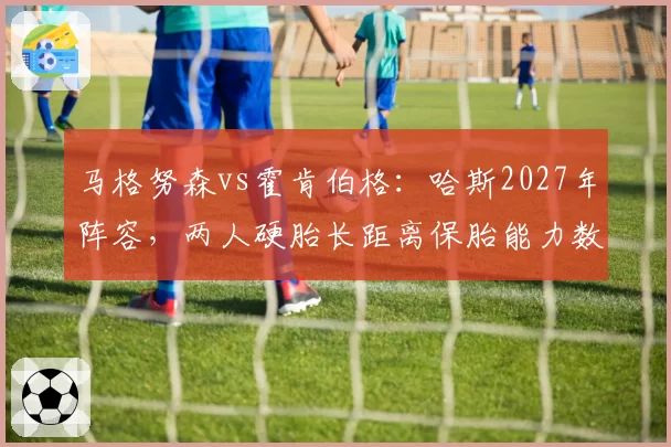 马格努森vs霍肯伯格：哈斯2027年阵容，两人硬胎长距离保胎能力数据对比