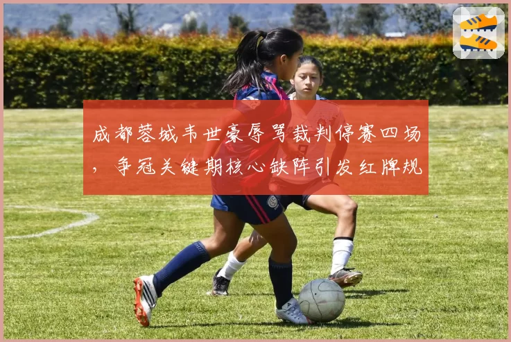 成都蓉城韦世豪辱骂裁判停赛四场,争冠关键期核心缺阵引发红牌规则大讨论