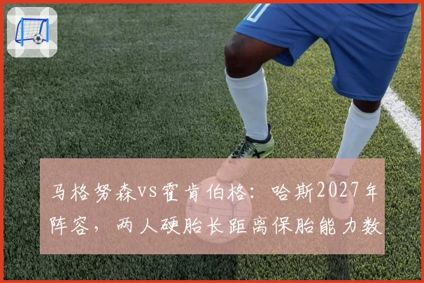 马格努森vs霍肯伯格：哈斯2027年阵容，两人硬胎长距离保胎能力数据对比